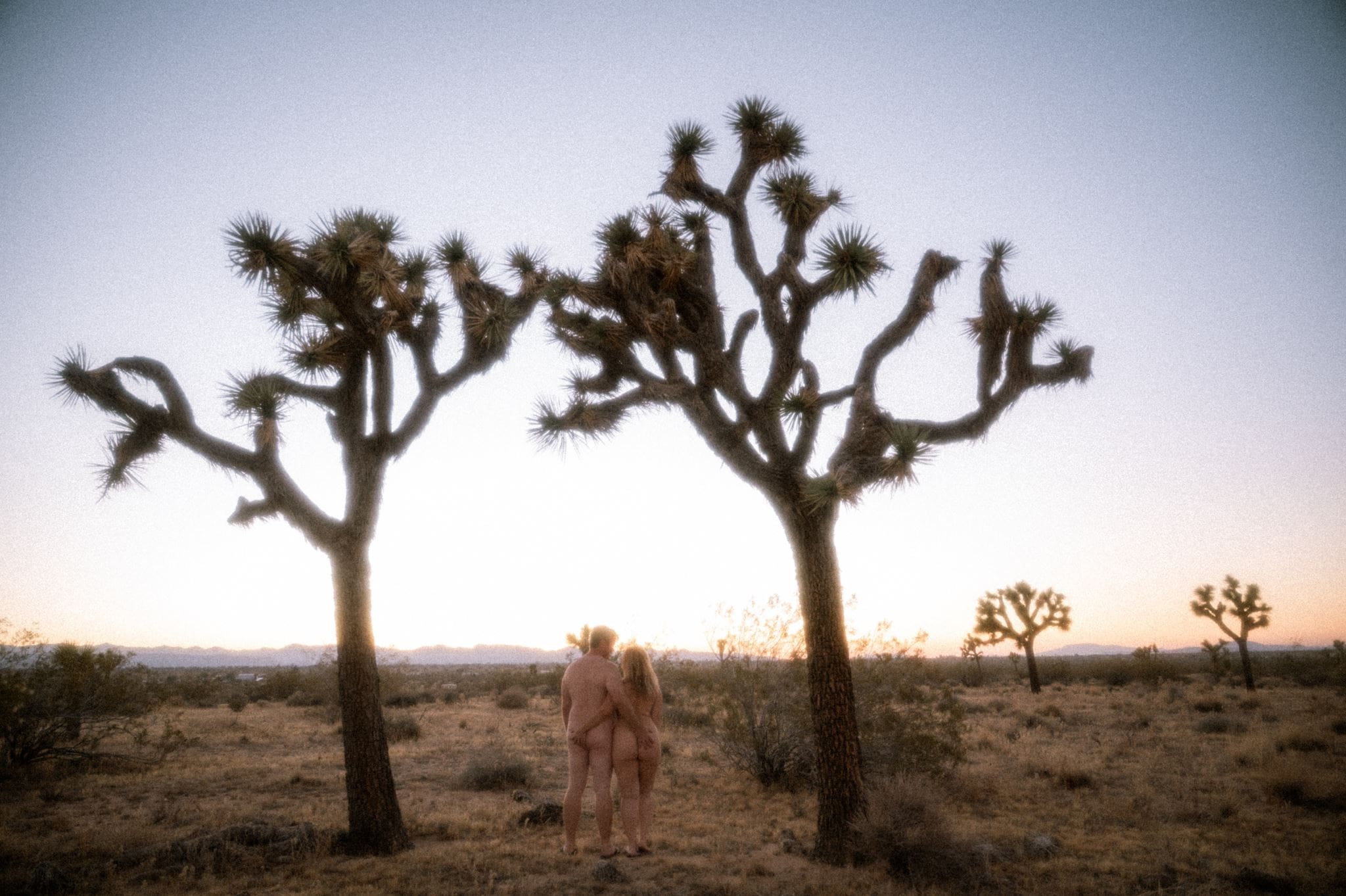 Intimate outdoor portrait surrounded by Joshua Tree scenery